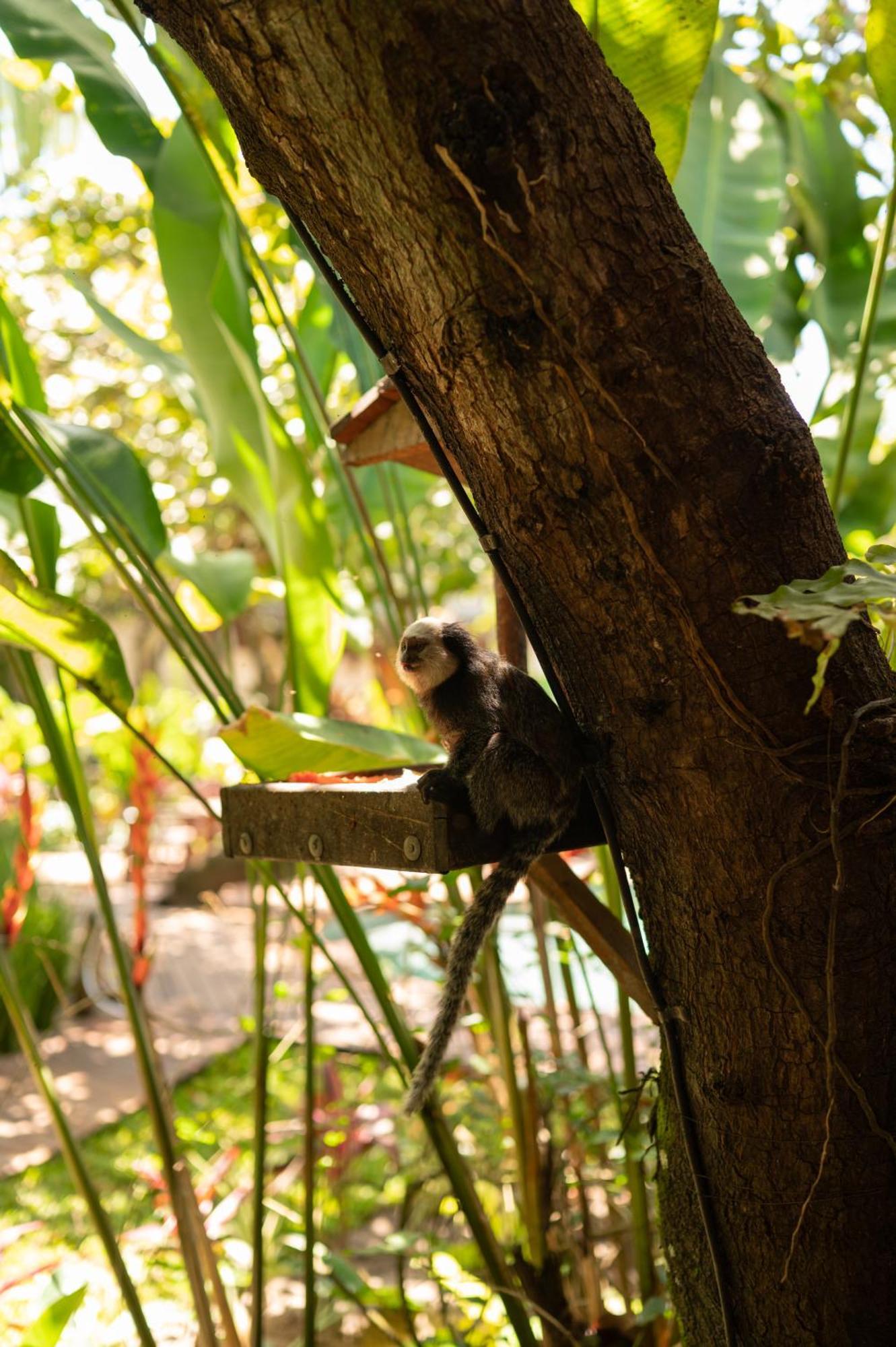 Pousada Nativa Caraiva Luaran gambar