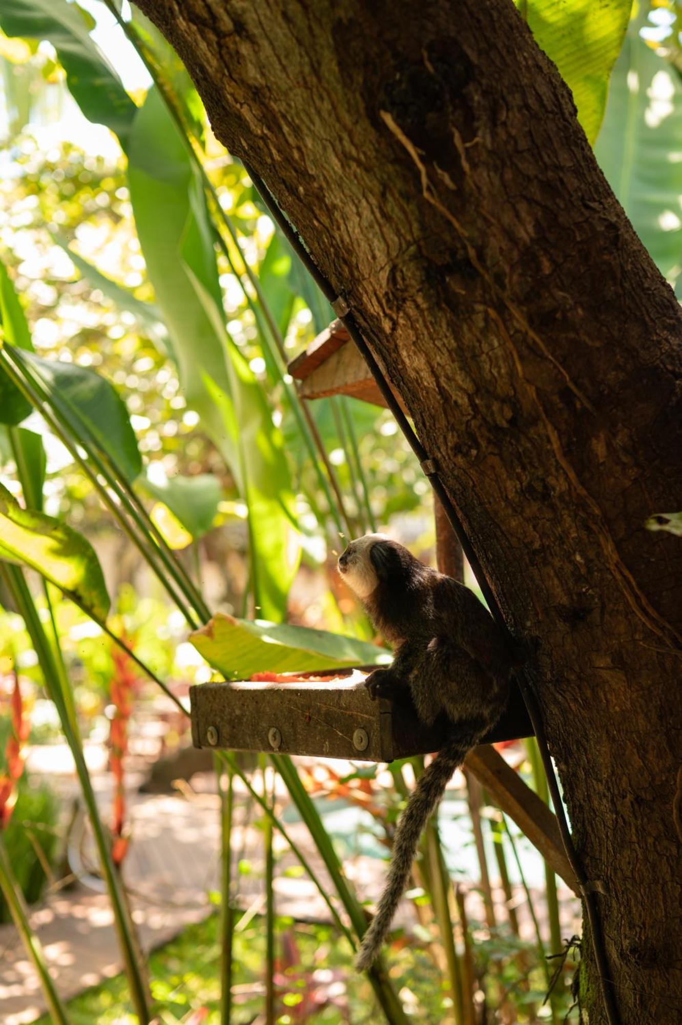 Pousada Nativa Caraiva Luaran gambar